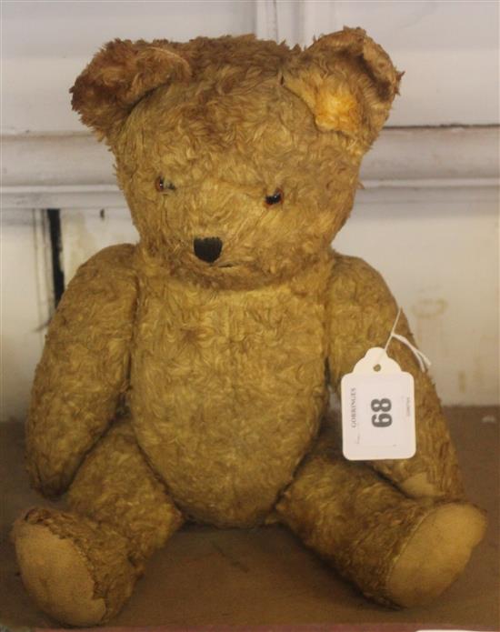 Hump back teddy